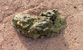 Fotogalerie Herzen Bild 57